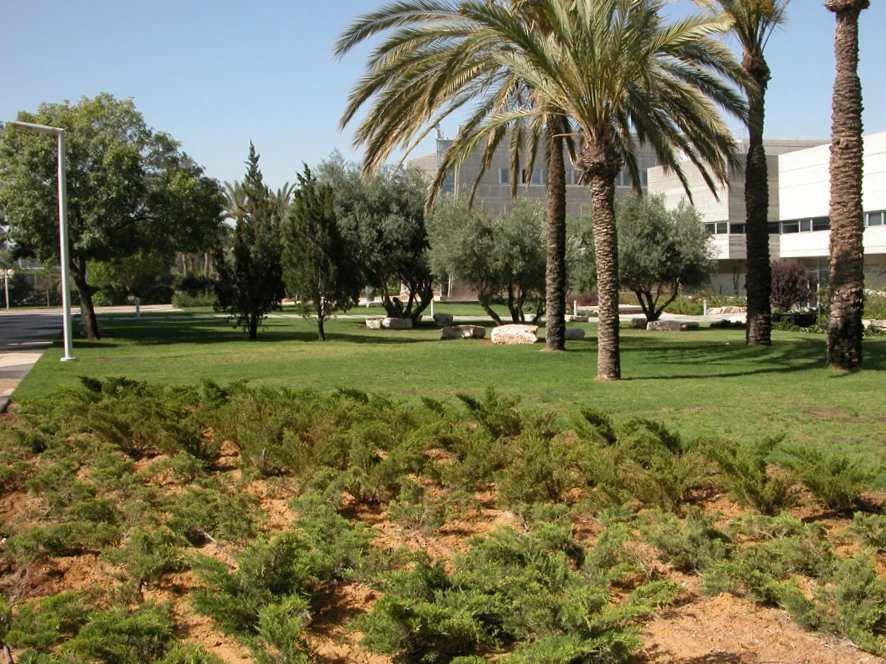 קמפוס אוניברסיטת בן גוריון